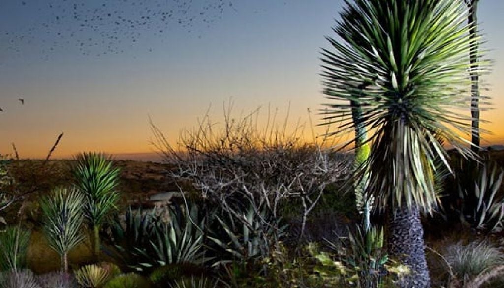 Una muy rica y variada biodiversidad se mantiene protegida en la zona. Imagen. El Charco.
