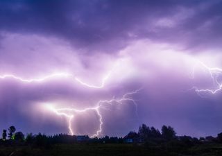 ¡Peligro, tormentas eléctricas! Rayo mató 10 vacas en el sur de Chile