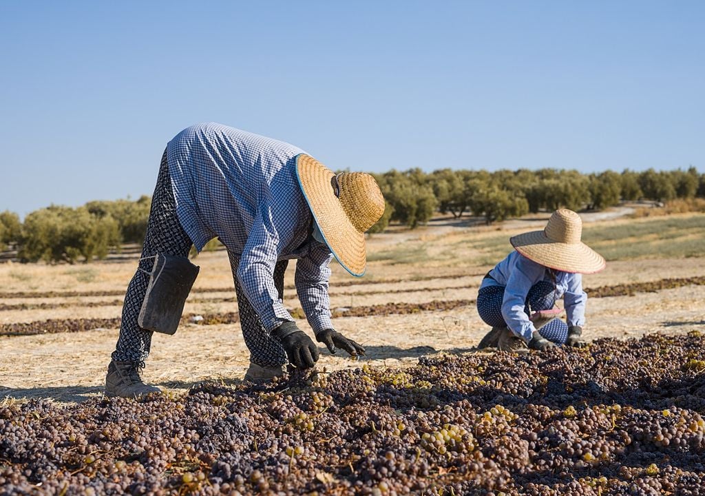 trabajadores al sol trabajadores al sol