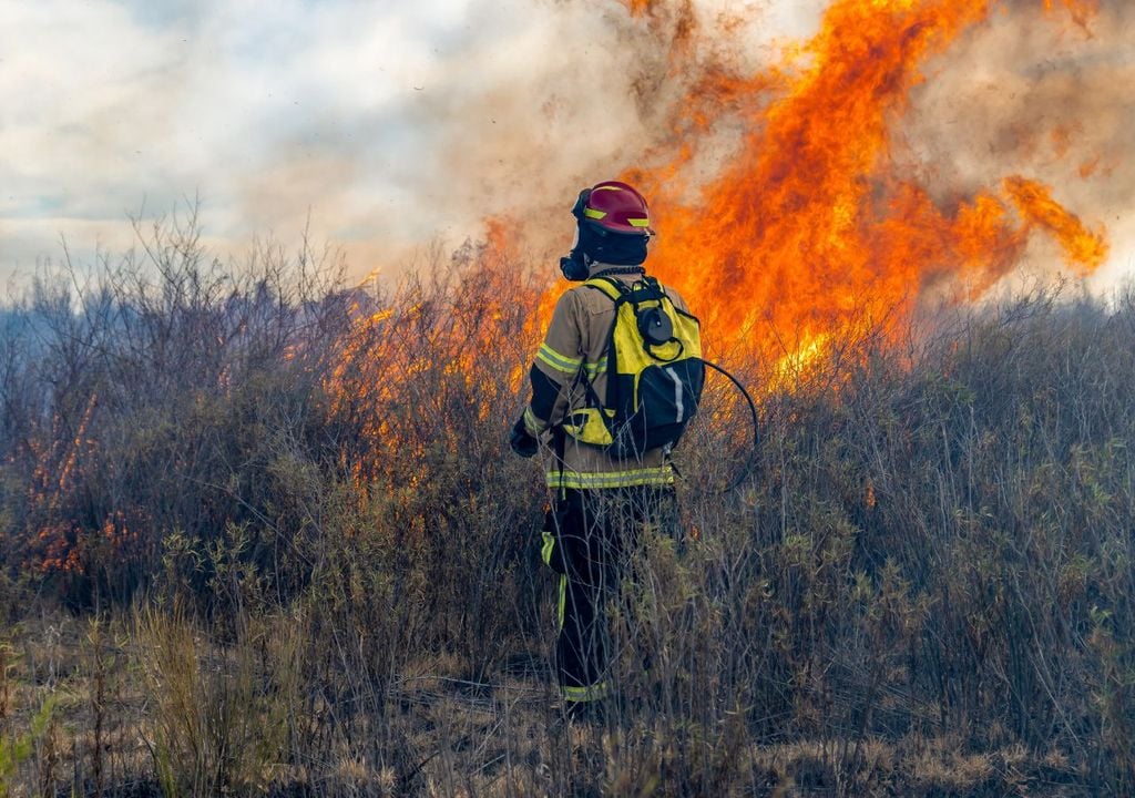 Incendios forestales en Portugal, Meteored, Chile Incendios forestales en Portugal, Meteored, Chile