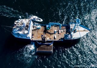 People urged to help Ocearch find great white sharks in "Goldilocks" Irish waters