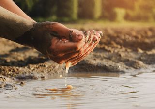 Perante um cenário de seca extrema em Portugal, quais serão as culturas mais viáveis?