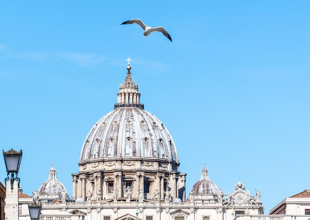 gabbiano roma gabbiano roma