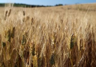 Perché il mese di giugno si chiama così?