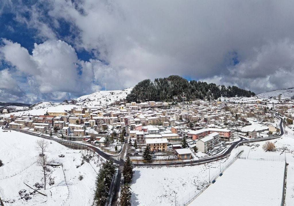 Floresta in inverno.