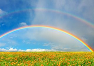 Perché l'arcobaleno osservato dall'alto appare perfettamente circolare?