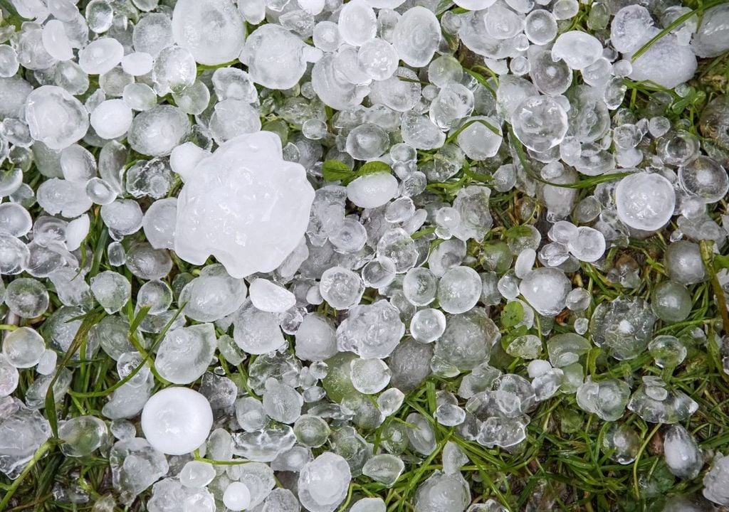 Effetti di una grandinata al suolo.