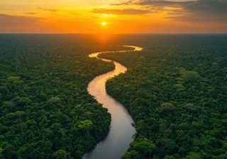 ¿Por qué es tan importante la biodiversidad para prevenir la extinción humana?