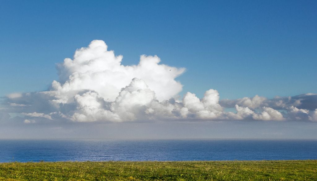 Le nuvole che si formano sopra il mare hanno una base piatta ed una cima a forma di cavolfiore a causa di un fenomeno fisico ben noto.