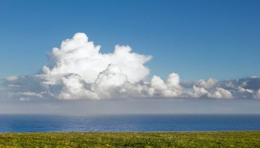 Perch&eacute; le nuvole hanno la base piatta, mentre la testa ha la forma di un cavolfiore?