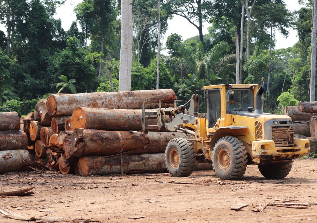 Brasil Amazonas deforestación Incendios Brasil Amazonas deforestación Incendios