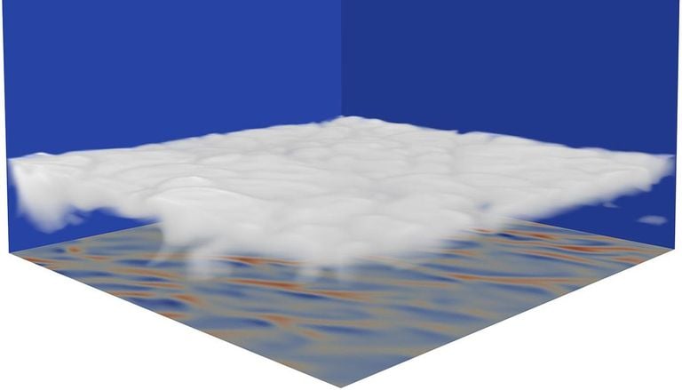 La p&eacute;rdida de nubes bajas amplifica el calentamiento global en un proceso de retroalimentaci&oacute;n positiva