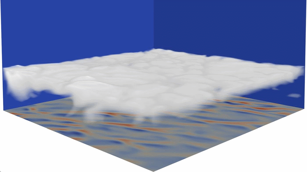 Una representación 3D de una simulación de grandes remolinos, realizada por el equipo de investigación, muestra nubes estratocúmulos sobre el Océano Pacífico. El plano inferior representa la flotabilidad de la superficie. Crédito: Sheide Chammas / Google