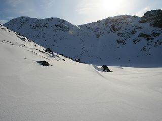 Pérdidas de carbono del suelo aceleran el cambio climático