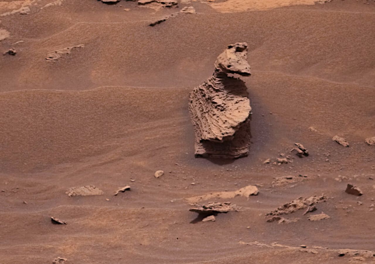Este 22 de octubre, la NASA presentó una imagen capturada por las cámaras del Mars Curiosity rover: una formación rocosa que asemeja a un pato.
