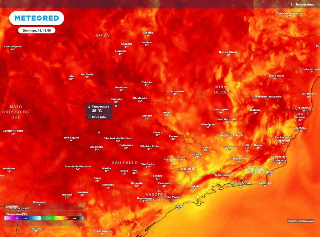 Previsão de temperatura máxima (em °C) para o domingo (19), segundo o modelo europeu ECMWF.