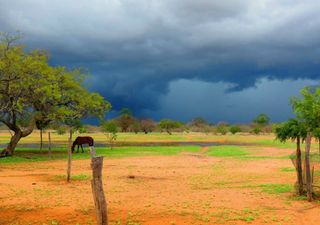 Período úmido do Nordeste: chuvas podem começar antes nesta primavera