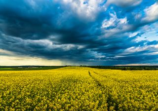 Período úmido no Brasil: primeiras impressões do começo da estação chuvosa