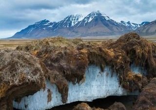 Permafrost: Verbündeter oder Feind, Senke oder Quelle von Kohlendioxid?