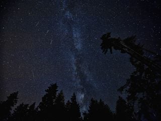 Perseid meteor shower at its peak this year