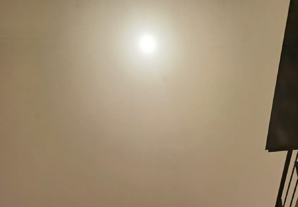 sole sole