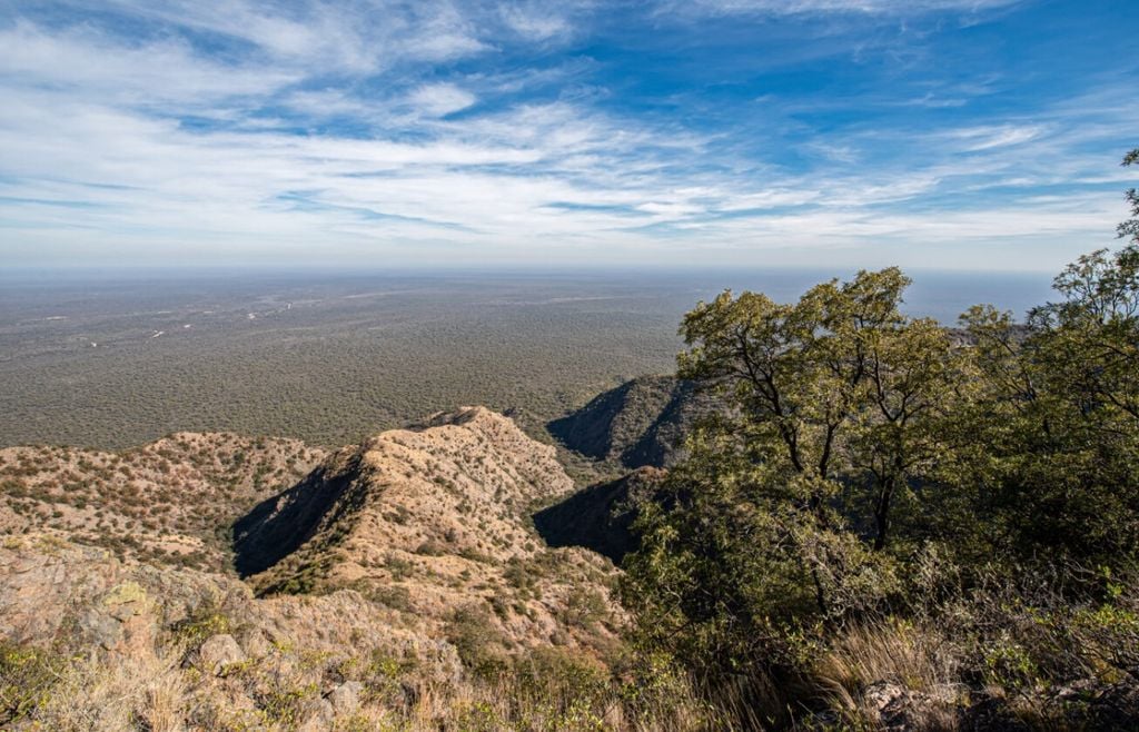 traslasierra El predio ya reúne más de 350 especies registradas en el PN Traslasierra, una cifra que supera ampliamente los primeros relevamientos realizados. Gentileza: argentina.gob.ar