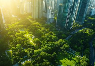 Áreas urbanas com mais espaços verdes garantem uma melhor saúde mental