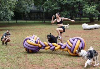 Pet Friendly: conheça lugares em São Paulo para passear com o seu animal de estimação