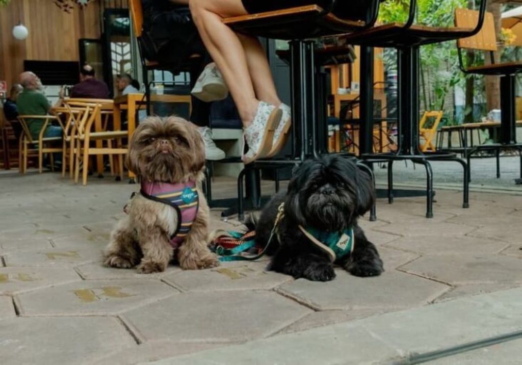 Gaarden Bar, São Paulo