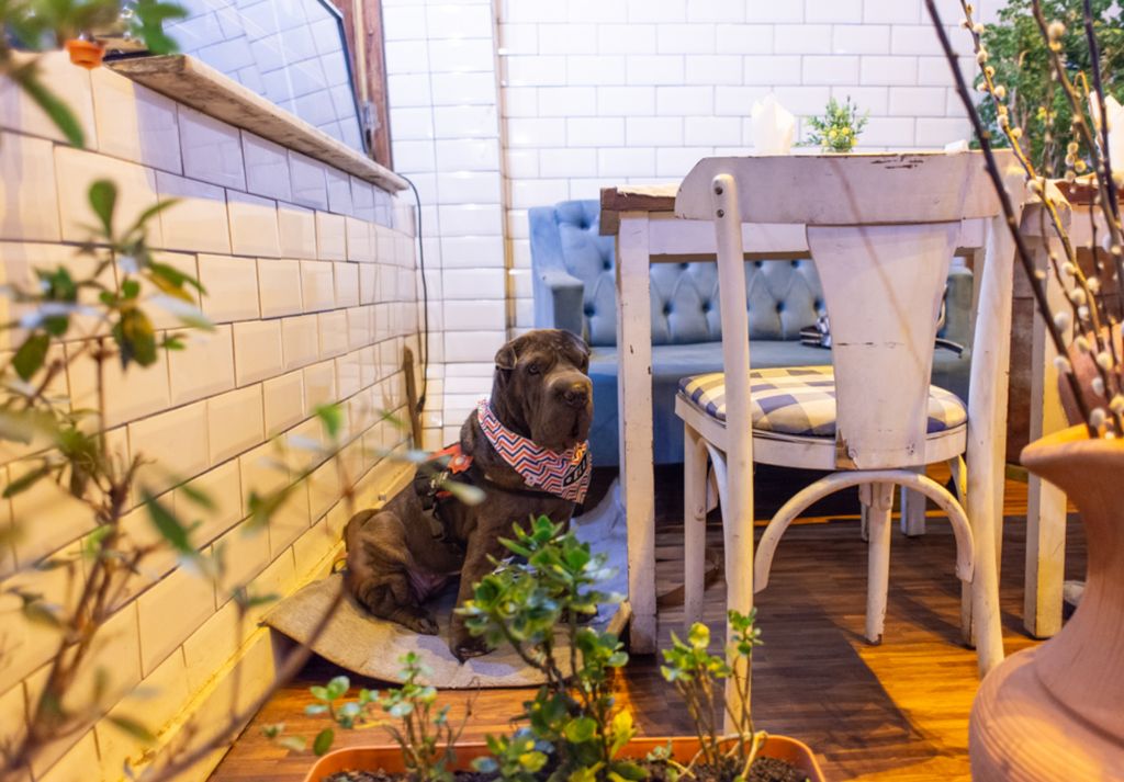 Forneria Maori, São Paulo