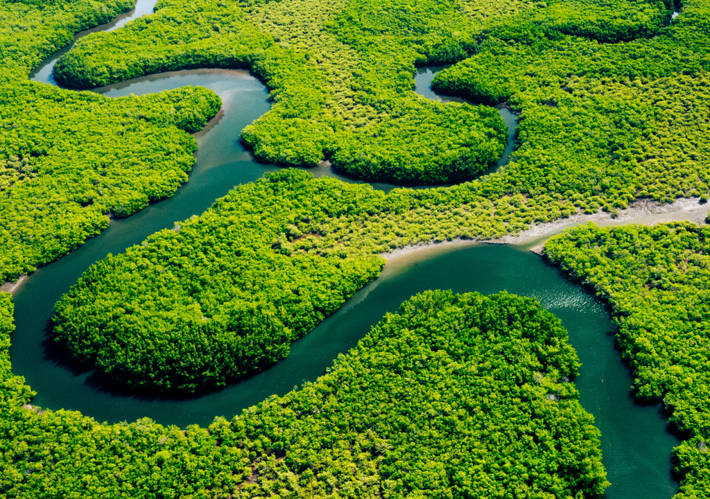 O Rio Amazonas, na foto, é o maior do mundo em termos de vazão e o segundo maior em termos de extensão, perdendo apenas para o Rio Nilo.