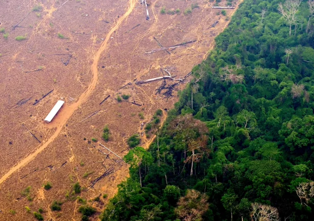 A decisão acende mais um alerta para o “ponto de não retorno” da Terra. Foto: Reprodução/Douglas Magno/AFP.
