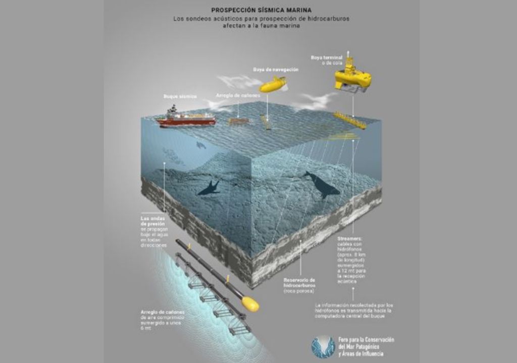 Petróleo en Mar del Plata: las perforaciones comenzarían el 15 de diciembre