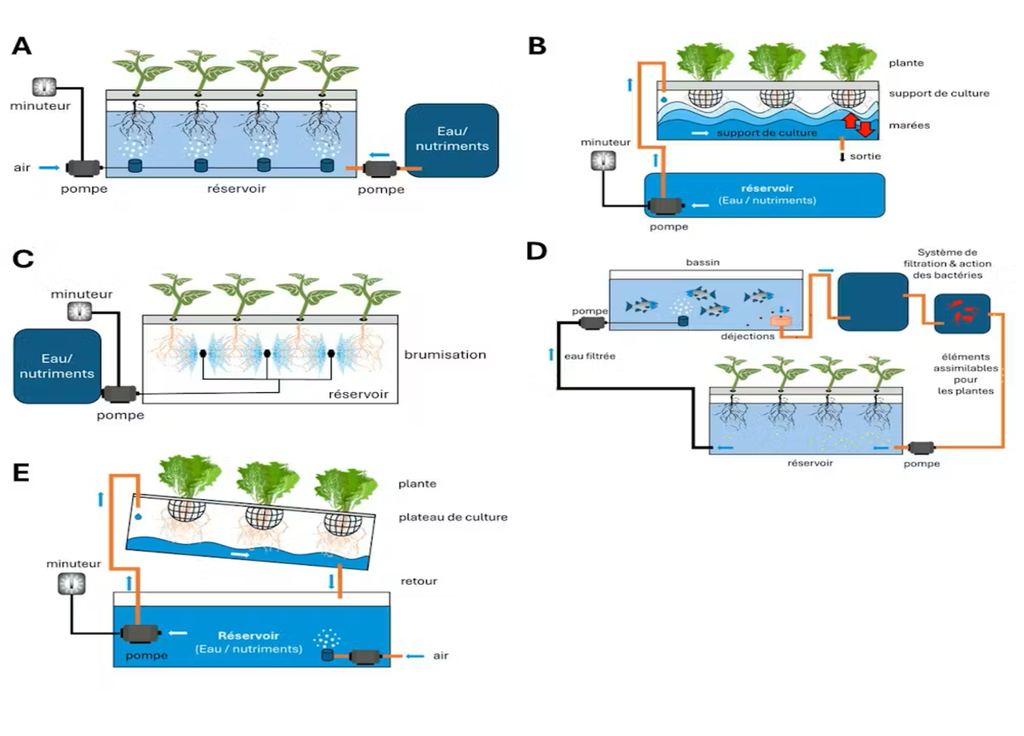 Différents systèmes de ponies. A. culture en eau profonde, B. Système de table à marées, C. Aéroponie, D. Aquaponie. E. le système NFT (Nutrient Film Technique). Adrien Gauthier, modifié d’après Rathnayake et Sharmilan, 2023.