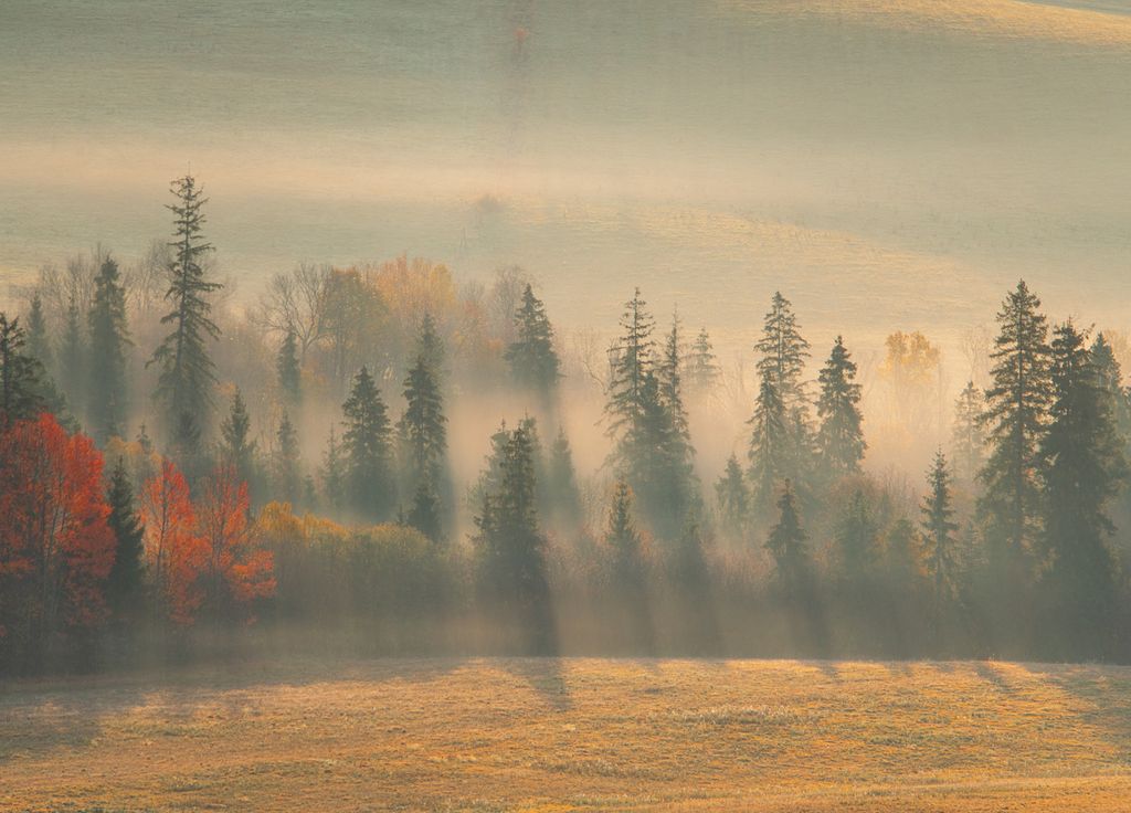 Le soleil arrivera-t-il a percer les très nombreuses grisailles de cette fin d'automne ?