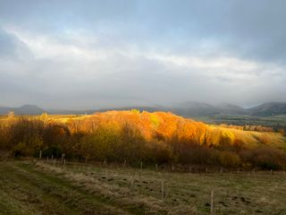 Peut-on espérer un air d'été indien pour les vacances de la Toussaint ? Voici nos dernières tendances en France !