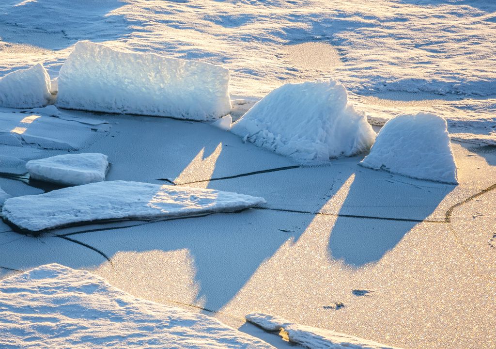Treibeis, Packeis und Presseisrücken