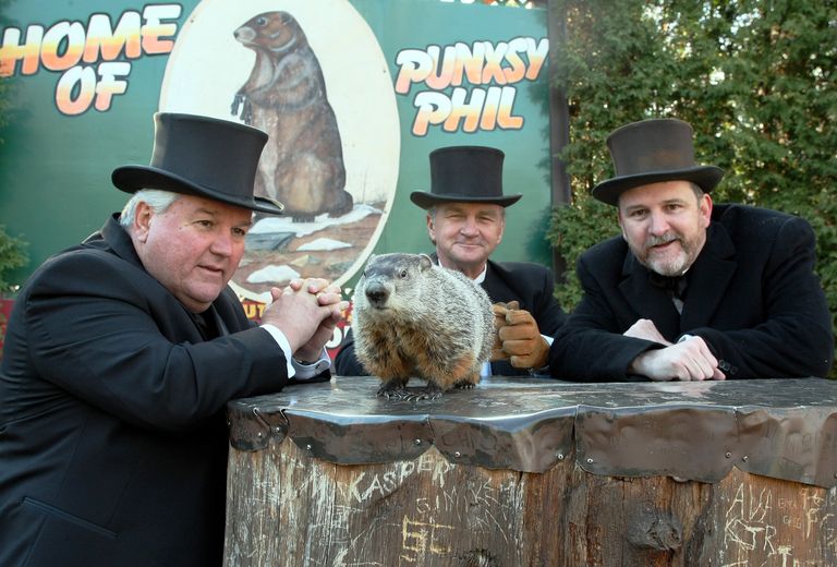 Phil la marmota