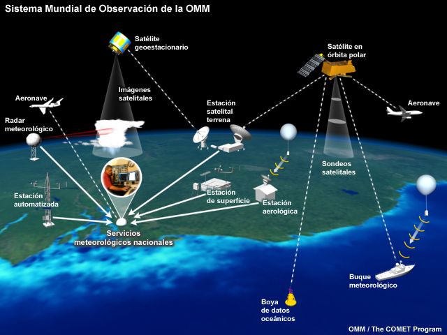 Phil la marmota meteorologa