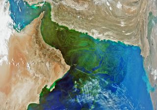 Imagens incríveis de florescências de fitoplâncton a partir do espaço! Imagens fascinantes da primavera de 2024