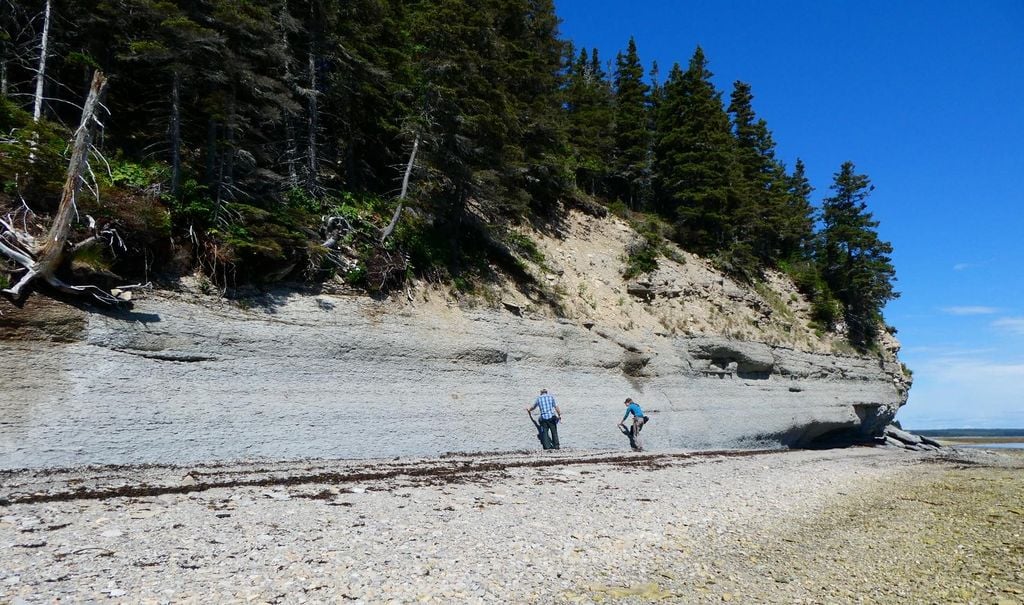 Muestreo del límite Ordovícico-Silúrico en la bahía de Gamache, isla Anticosti oriental – Crédito de la foto: André Desrochers