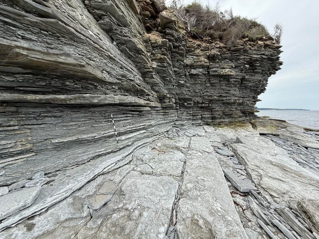 Límite entre el Ordovícico y el Silúrico en el extremo oriental de la isla Anticosti - Foto: André Desrochers