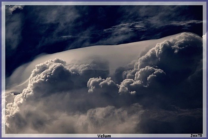 Pileus Y Velum En León Pileus Y Velum En León