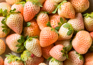 Pineberry: una extraordinaria fruta blanca que revoluciona el mercado agrícola