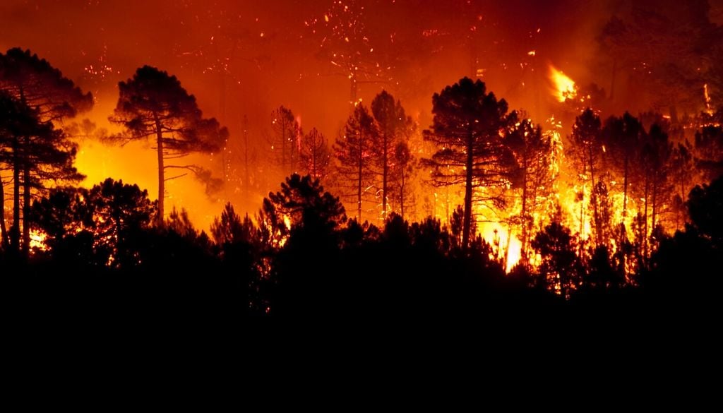 Due specie resilienti, ma minacciate dai cambiamenti climatici