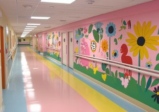 Pintura que desinfecta sola: el invento que podría reducir los contagios en hospitales y aviones 