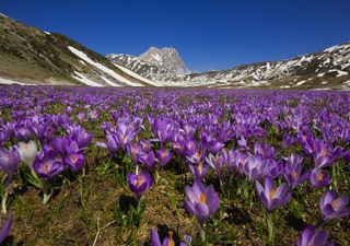 Piogge e maltempo per Pasqua? Ecco l'ultima linea di tendenza meteo