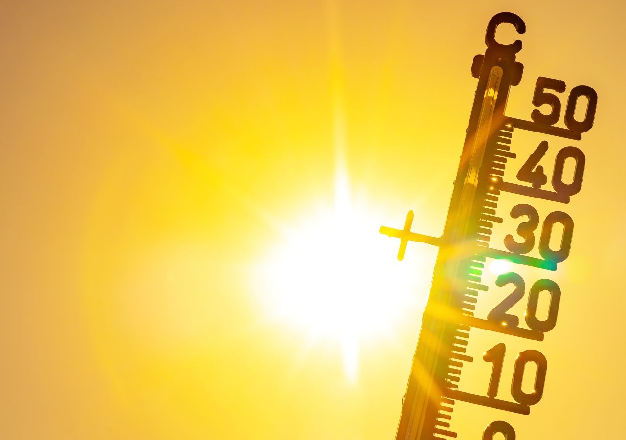 Sibéria sufoca com calor de quase 40ºC