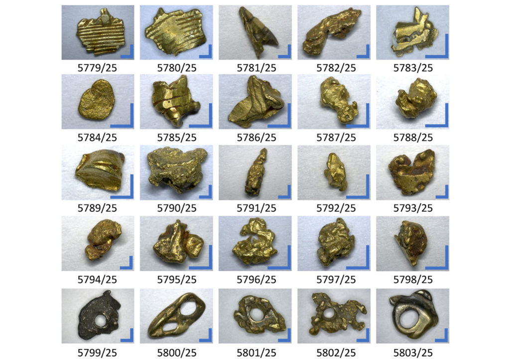 Die in der Studie analysierten Proben stammen von der Whydah Gally, einem einstigen Sklavenschiff, das 1717 vor der Küste von Massachusetts in einem Sturm gesunken war. Bild: Tobias Skowronek