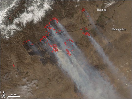 Los incendios forestales afectan a grandes zonas de Rusia y Mongolia. Las tonalidades muy grises denotan que no se han formado pirocúmulos. El flujo estable intenso del noroeste refuerza la hipótesis. Imagen MODIS- NASA